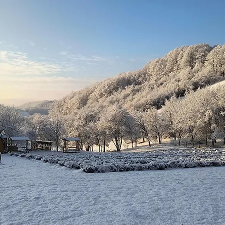 Poiana Stelelor Văleni