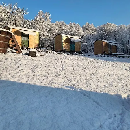 Poiana Stelelor Κάμπινγκ Văleni