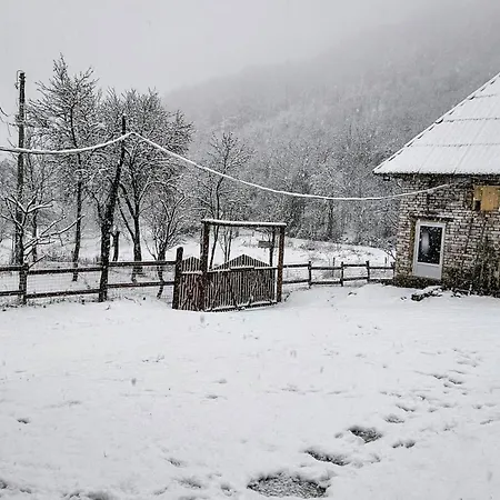 Poiana Stelelor * Văleni