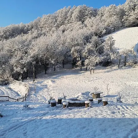 Κάμπινγκ Poiana Stelelor Văleni