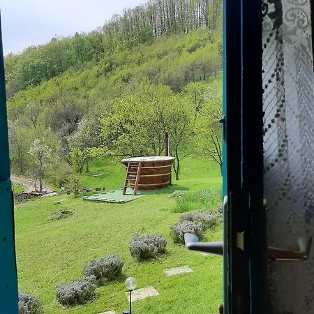 Poiana Stelelor Văleni