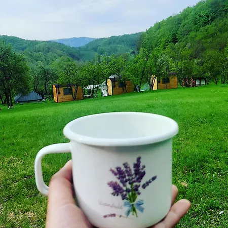 Poiana Stelelor * Văleni