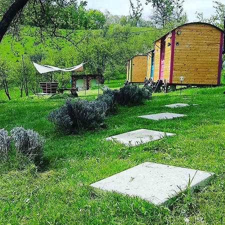 Poiana Stelelor Κάμπινγκ